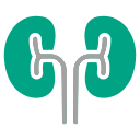 Nephrology